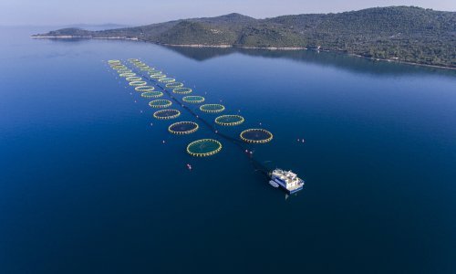 Cromaris formirao novu, tročlanu Upravu. Na njezinom čelu Ivan Leko