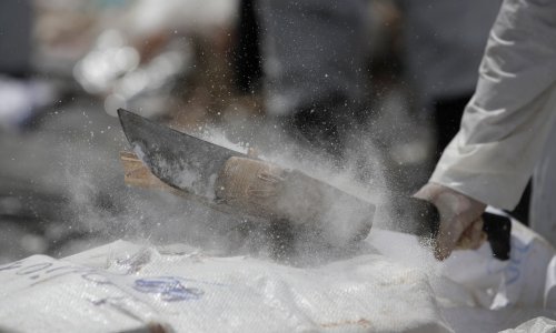 U zajedničkoj operaciji Kolumbija i SAD zaplijenile 7.5 tona kokaina