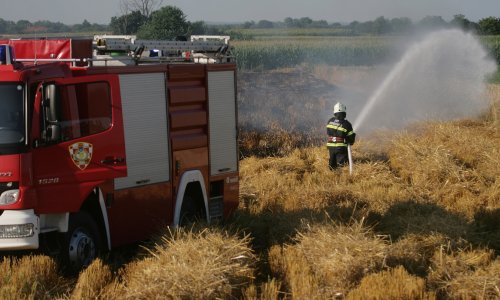 Lokaliziran šumski požar na Hvaru, izgorjelo oko pet hektara borove šume i niskog raslinja