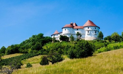 Uskoro počinje Tabor film festival koji će se zbog korone održavati većinom na otvorenom. Provjerite što nudi program