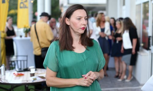 Živi zid se pomirio s debaklom, Vladimira Palfi: Drago nam je što je SDP osvojio toliko malo