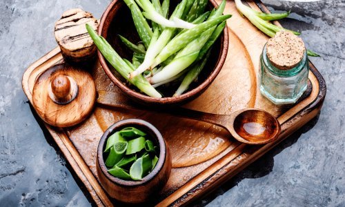 Aloe vera od glave do pete: Osam načina kako ovu biljku uklopiti u beauty rutinu