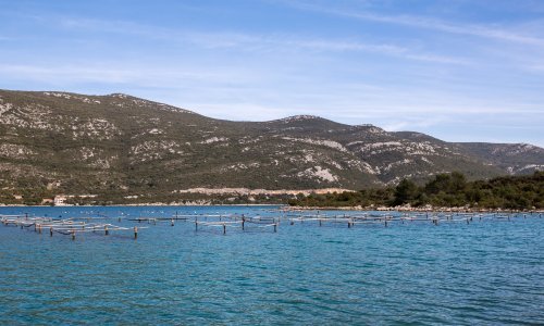 Apel Vladi: Zaštitite ekosustav Malostonskog zaljeva od lošeg projekta i zastarjelih tehnologija