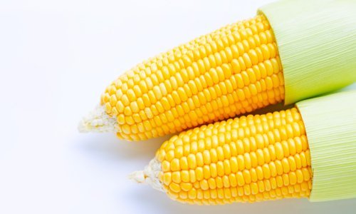 Nakon ovog recepta, kukuruz više nikad nećete pripremati drukčije