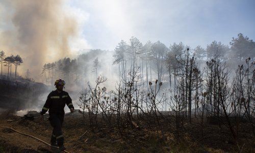 Požar kod Muća pod nadzorom, ali nije lokaliziran