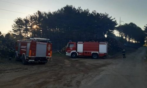 Spojila se dva požara kod Muća, ukupno opožareno 50 hektara borove šume