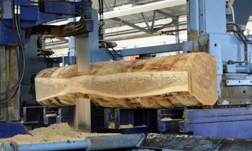 DI Spačva završila polugodište s dobiti nešto iznad 6 milijuna kuna