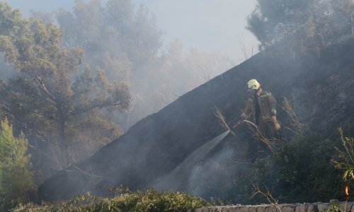 Gorjelo u Žrnovnici blizu bivše vojne baze, požar gasili vatrogasci s pet navalnih vozila