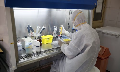 Znanstvenici uočili razlike među uzorcima koronavirusa iz šest hrvatskih gradova