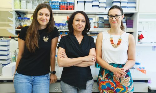 [FOTO/VIDEO] U potragu za lijekom protiv Covida-19 uključila se i ekipa s Ruđera: Andreja Mikoč objasnila nam je kako teče hrvatska dionica svjetske znanstvene utrke