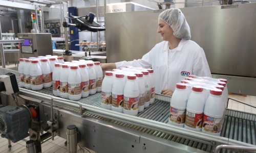 Dukat spreman otkupljivati mlijeko Meggleovih kooperanata