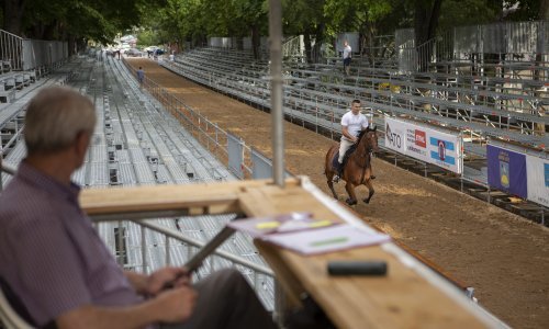 Sinjska alka u novo normalnom; na tribinama fizička distanca