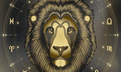 Otvoreni, srdačni i pomalo oholi privlače pažnju gdjegod se našli: Ovo je šest razloga zašto su nam Lavovi neodoljivi