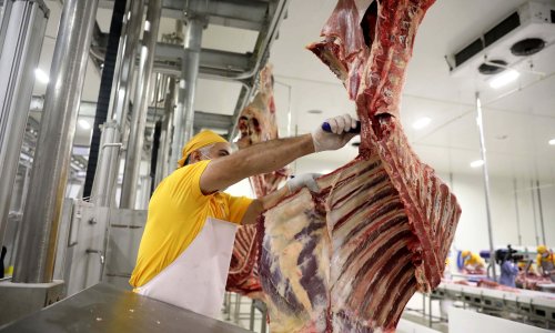 Zašto su klaonice postale žarišta epidemije? Koronavirus u njima putuje čak osam metara!