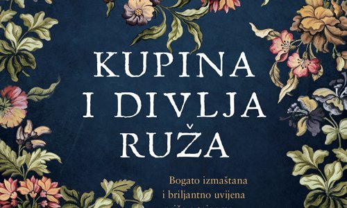 Bogato izmaštana i briljantno uvijena priča o tajnama, tkanju svile i izdaji
