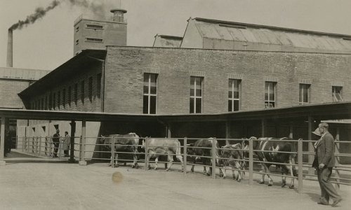 Pogledajte fotografije starog Zagreba