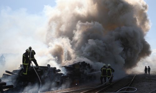 Buknuo požar uz željezničku prugu u Borovu naselju