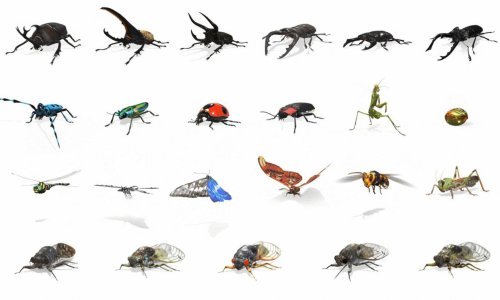 Pozovite virtualne insekte u svoju sobu uz Googleovu proširenu stvarnost