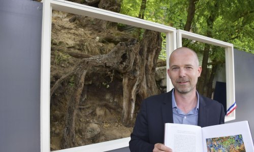 Uz pomoć razglednice otkriveno mjesto na kojemu je Van Gogh naslikao svoje zadnje remek-djelo