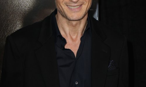 Liam Neeson u novoj vezi s 'nevjerojatno slavnom ženom'