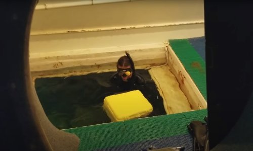 Ako odsjedate u ovom hotelu, pizzu će vam donijeti ronilac!