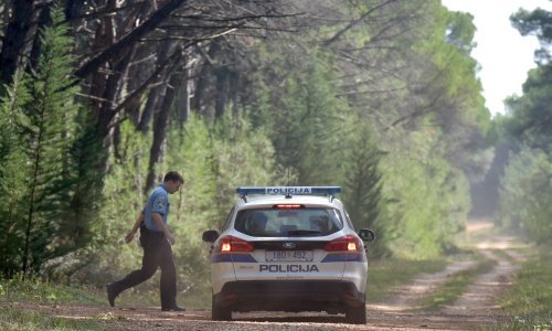 Policija uz pomoć vojske i dalje traga za nestalom djevojčicom iz Afganistana