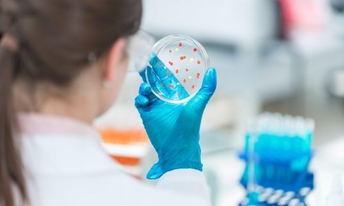 Znanstvenici tvrde da koronavirus, poput HIV-a, može suzbiti samo koktel lijekova