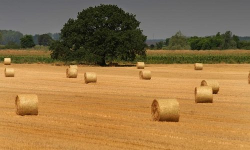Plenković osnovao Savjet za Slavoniju, Baranju i Srijem