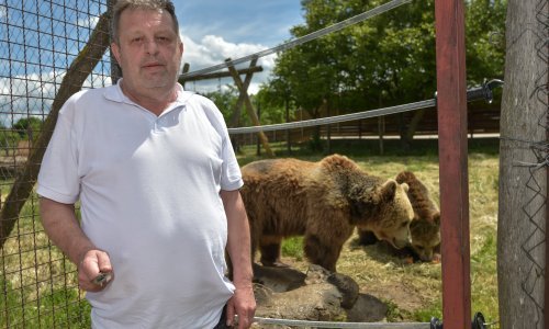 Međunarodna organizacija raskinula suradnju s Hrvatskom zbog Macolinih medvjeda