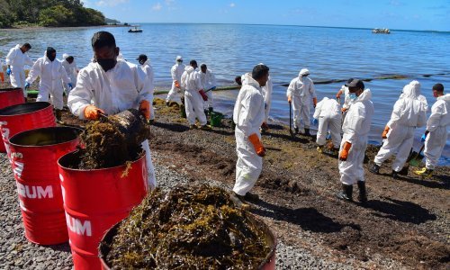 Ribari pokušavaju spasiti ozlijeđene dupine na Mauricijusu