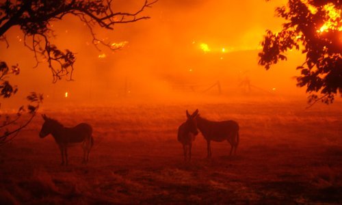Kalifornijski šumski požari se šire, deseci tisuća ljudi evakuirani