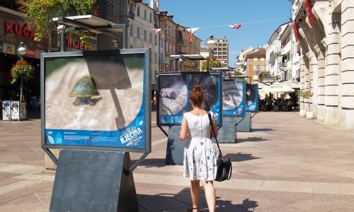 Na riječkom Korzu izronili čudesni stanovnici Rječine