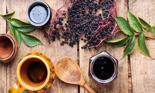 Prošetajte prirodom i naberite bobice bazge, a onda uz pomoć naših recepata napravite domaći sok i džem koji će oduševiti ukućane