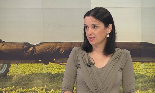 Vučković umiruje poljoprivrednike: Osjećajte se sigurno, poticaja će biti, imamo 4,5 milijardi eura