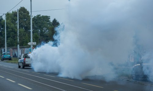 Drava i Dunav se izlili, komarci nemilosrdno nasrnuli na Osječane; večeras kreće tretiranje