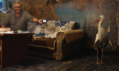 Premijerom dokumentarnog filma o Malenoj i Klepetanu počeo 18. Liburnia Film Festival