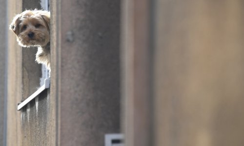 Kako će karantena utjecati na prijateljstva? Stručnjaci nemaju dobre vijesti