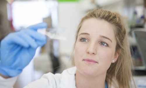 Mlada doktorica iz Australije dokazala ono o čemu se već dugo priča: Istina je, otrov pčela ubija agresivne stanice raka dojke