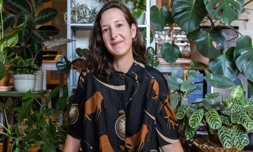 Džungle u staklenci osvojile Hrvatsku i susjedstvo, doznajte kako ih radi Danijela Bota, Zagrepčanka koja je pokrenula malu zelenu revoluciju