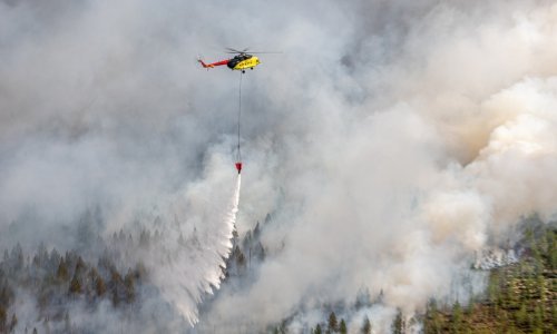 Pakleno ljeto u Sibiru: Vatru uzrokovali zombi požari, toga nije bilo u zadnjih 10.000 godina