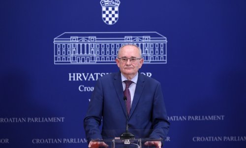 Ljubić pozvao Hrvatsku da podrži izmjene Izbornog zakona i ravnopravnost u BiH