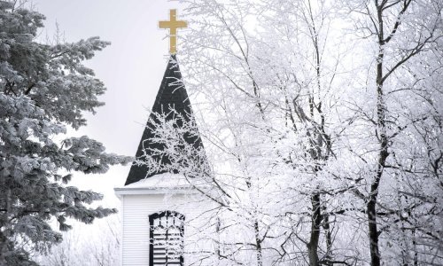 Tek izabrani američki biskup podnio ostavku zbog optužbi da je zlostavljao djecu