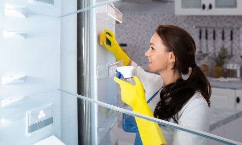 Kako temeljito očistiti hladnjak u pet koraka