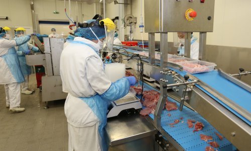 Viškovi mesa iz EU vrlo brzo će završiti na hrvatskom tržištu i srušiti domaće cijene mesa