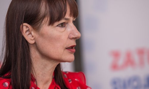 Škorina sestra Vesna Vučemilović objavila imovinsku karticu; nije ni približno izdašna kao bratova