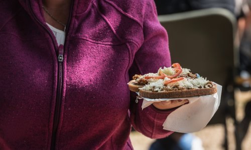 Što ponijeti za užinu u školu? Iz HZJZ-a imaju prijedlog za 10 đačkih sendviča