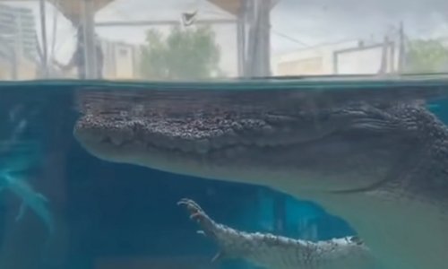 Kraj je radnog dana – vrijeme je za odmor