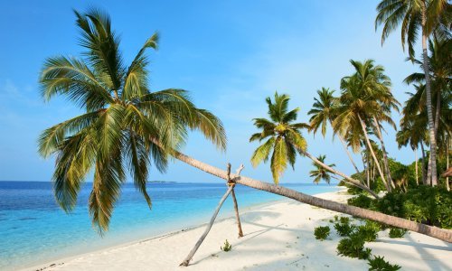 Maštate o radu 'od kuće' uz tirkizni ocean, sunce i palme? Nije nemoguće