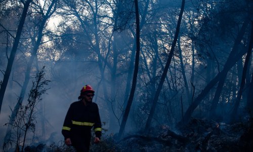 Svi požari na Čiovu pod kontrolom, uhićena jedna osoba