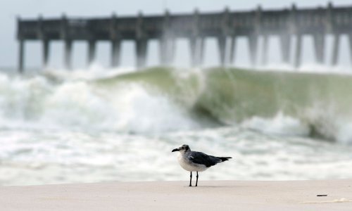 Uragan Sally prijeti jugoistoku Sjedinjenih Država